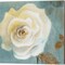 Late Summer Poppies & Roses by Lanie Loreth 14" x 14" Canvas Wall Art (Set of 2)